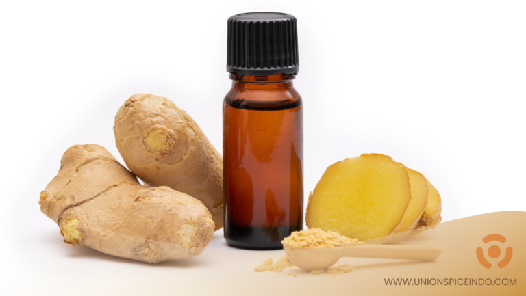 discover-ginger-oil-benefits-and-export-prospects-from-indonesia