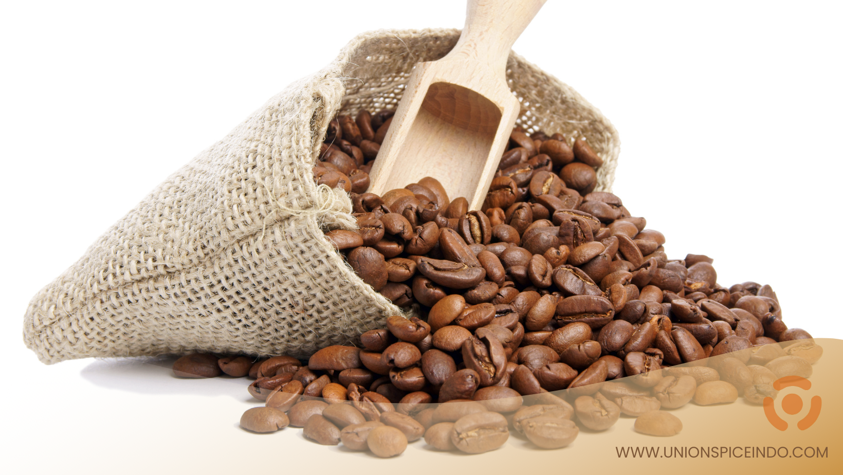 indonesian-coffee-farmer-vs-producer-for-international-importers-with-union-spice-indonesia